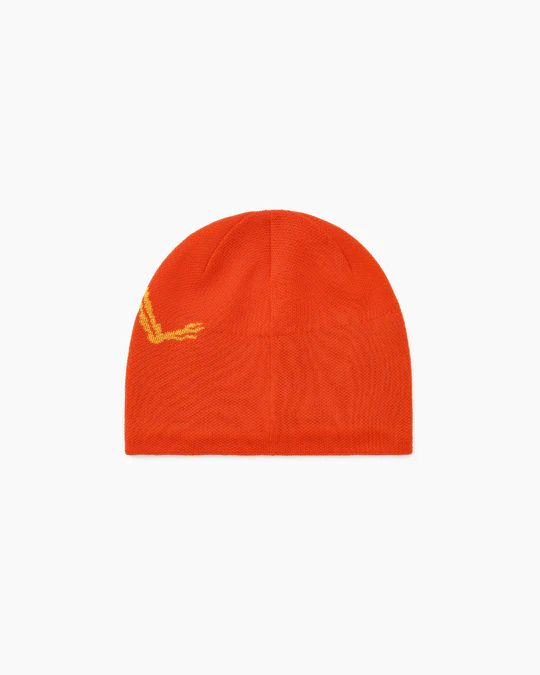 ☆Arc'teryx☆Bird Head Toque☆Solaris Edziza (ARC'TERYX/ニット