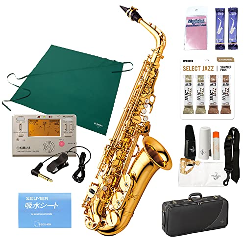 ヤナギサワ アルトサックス wo1」の人気商品一覧 | 安い商品を通販