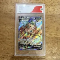 2026年最新】リーフィアv sr psa10の人気アイテム - メルカリ