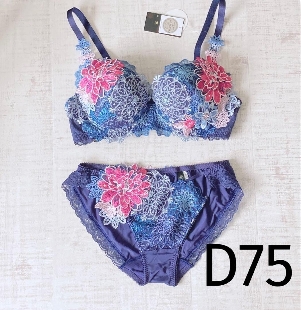 サルート】 D75&ノーマルL 中国音楽 08G - メルカリ